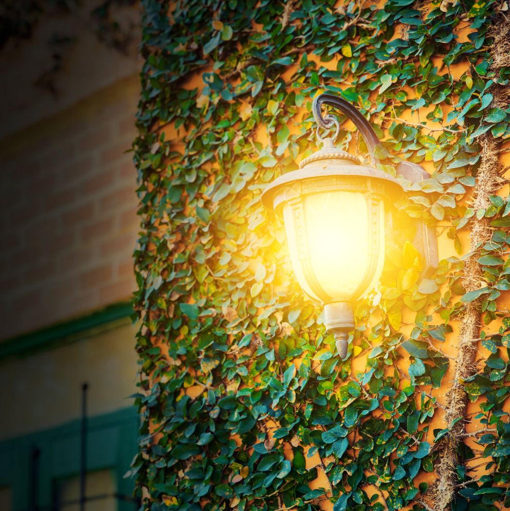 Arandela clássica acesa fixada em parede de tijolos coberta por hera, iluminando suavemente o ambiente externo.